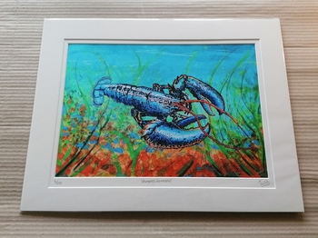 Homarus Gammarus